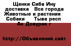 Щенки Сиба Ину доставка - Все города Животные и растения » Собаки   . Тыва респ.,Ак-Довурак г.